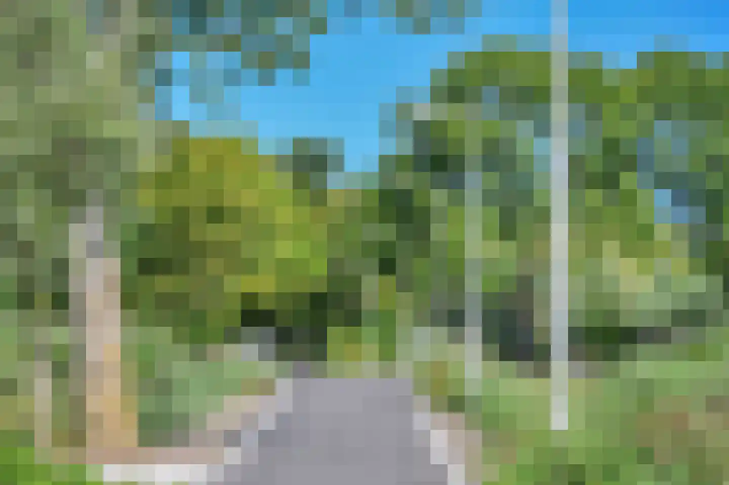 Wijkergouw 39 Amsterdam thumbnail 30