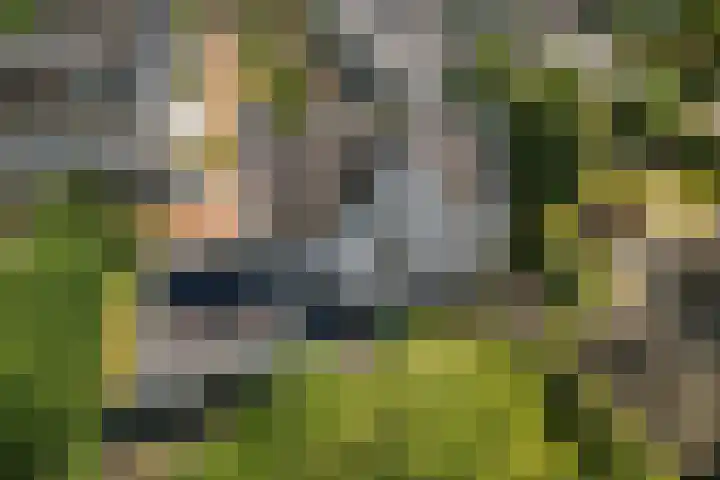 Wijkermeerhof 14 Den Haag thumbnail 10