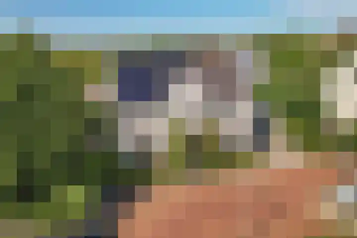 Wijkermeerhof 14 Den Haag thumbnail 12