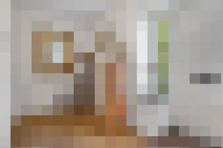 Wijkermeerhof 14 Den Haag thumbnail 23