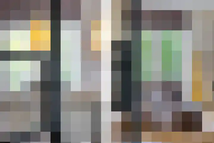 Wijkermeerhof 14 Den Haag thumbnail 27
