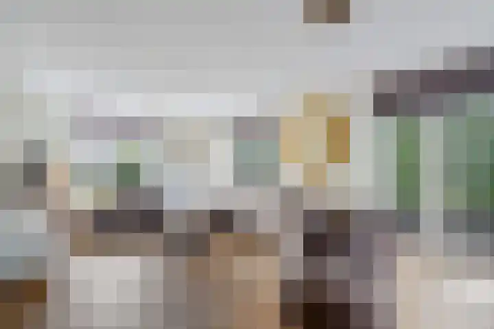 Wijkermeerhof 14 Den Haag thumbnail 28