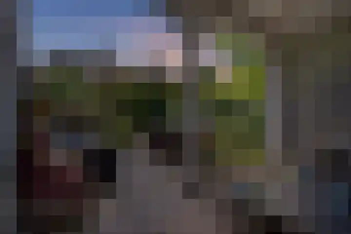 Wijkermeerhof 14 Den Haag thumbnail 4