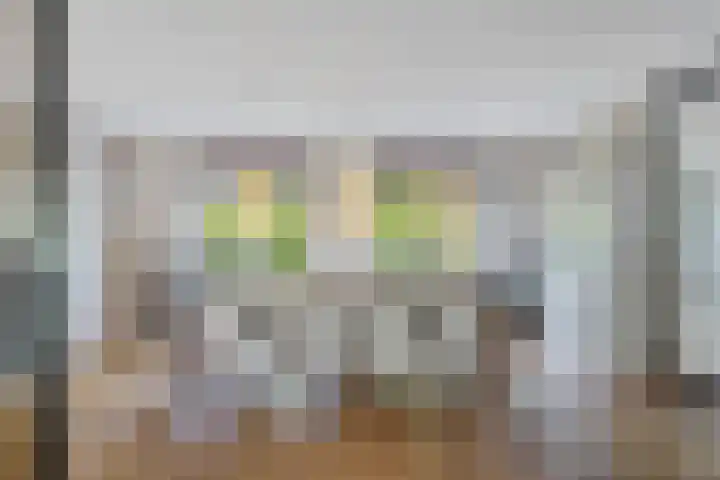 Wijkermeerhof 14 Den Haag thumbnail 43