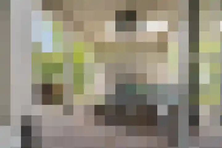 Wijkermeerhof 14 Den Haag thumbnail 48