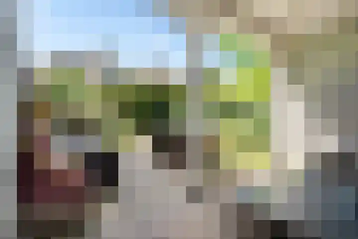 Wijkermeerhof 14 Den Haag thumbnail 49