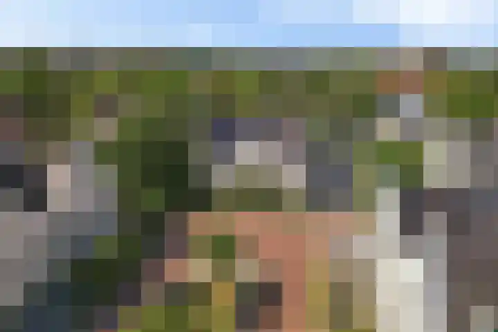 Wijkermeerhof 14 Den Haag thumbnail 5