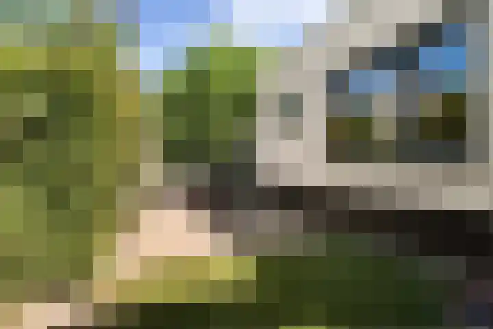 Wijkermeerhof 14 Den Haag thumbnail 52