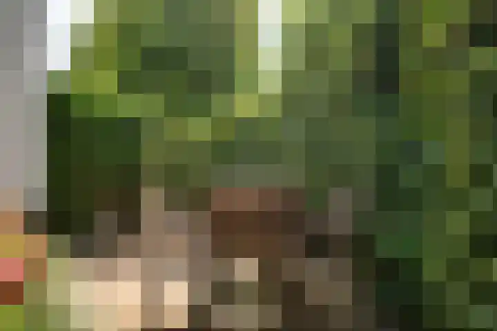 Wijkermeerhof 14 Den Haag thumbnail 53