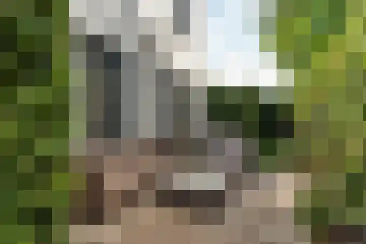 Wijkermeerhof 14 Den Haag thumbnail 54