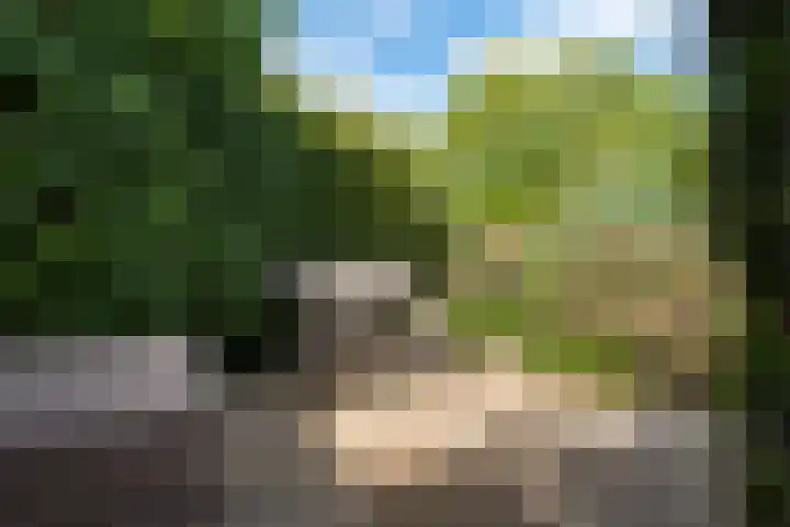 Wijkermeerhof 14 Den Haag thumbnail 55