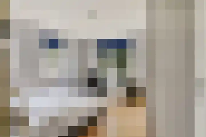 Wijkermeerhof 14 Den Haag thumbnail 61