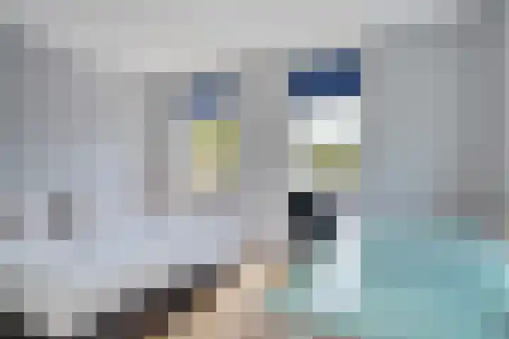 Wijkermeerhof 14 Den Haag thumbnail 62