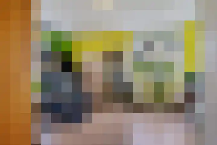 Wijkermeerhof 14 Den Haag thumbnail 69