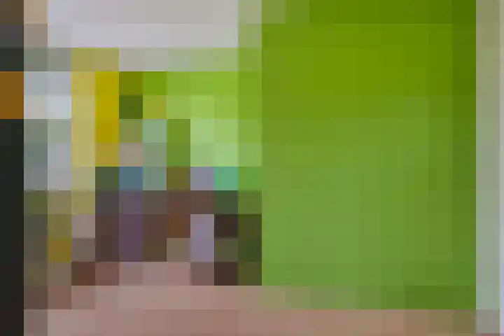 Wijkermeerhof 14 Den Haag thumbnail 70