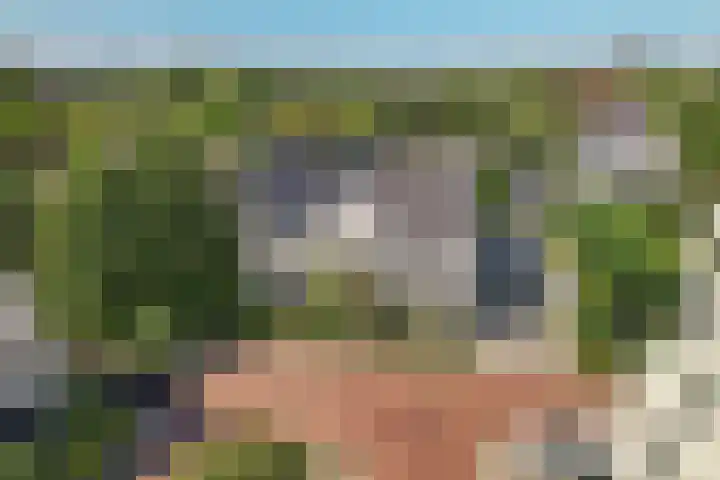 Wijkermeerhof 14 Den Haag thumbnail 8