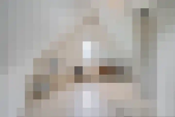 Wijkermeerhof 14 Den Haag thumbnail 80