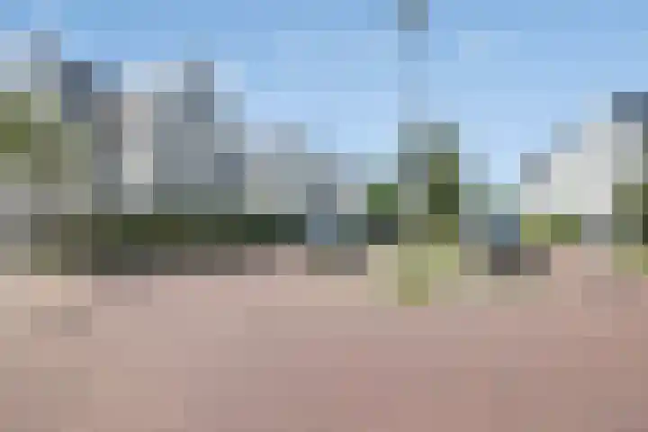 Wijkermeerhof 16 Den Haag thumbnail 14