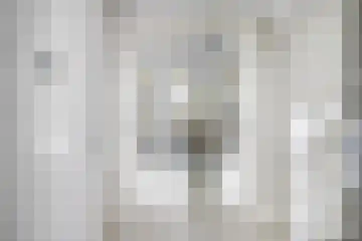 Wijkermeerhof 16 Den Haag thumbnail 15