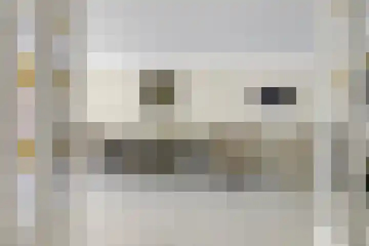 Wijkermeerhof 16 Den Haag thumbnail 16
