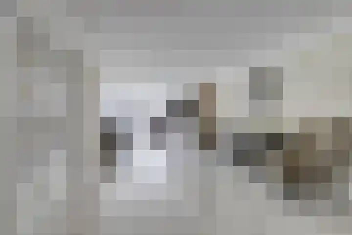 Wijkermeerhof 16 Den Haag thumbnail 18