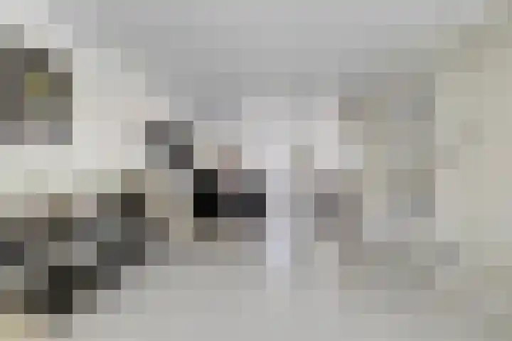 Wijkermeerhof 16 Den Haag thumbnail 19