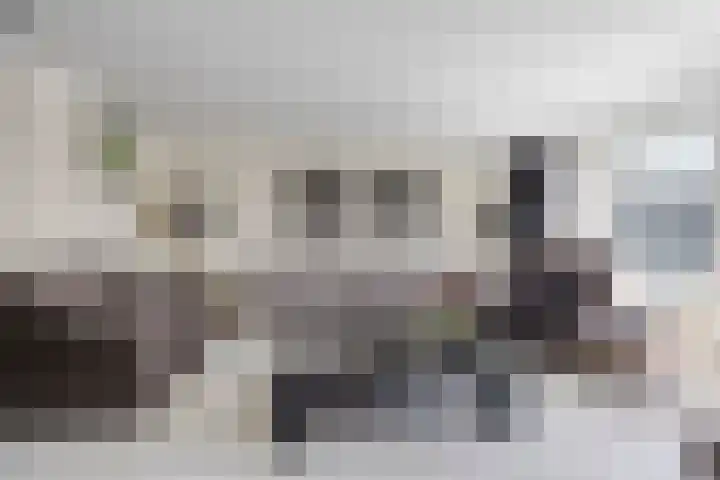 Wijkermeerhof 16 Den Haag thumbnail 20