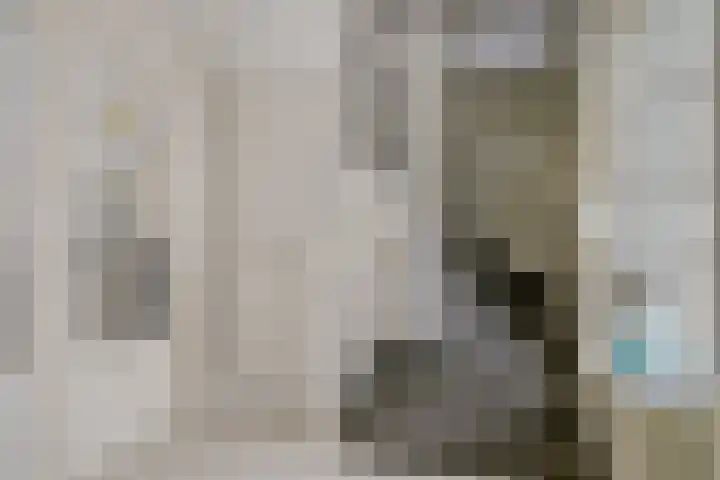 Wijkermeerhof 16 Den Haag thumbnail 31