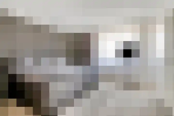Wijkermeerhof 16 Den Haag thumbnail 33