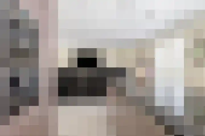 Wijkermeerhof 16 Den Haag thumbnail 4