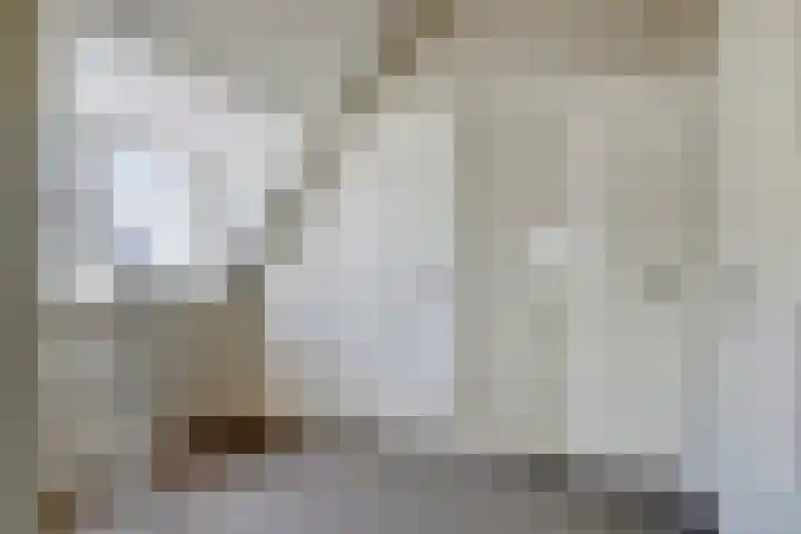 Wijkermeerhof 16 Den Haag thumbnail 54