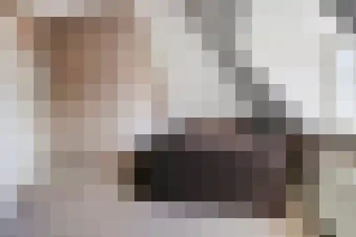 Wijkermeerhof 16 Den Haag thumbnail 57