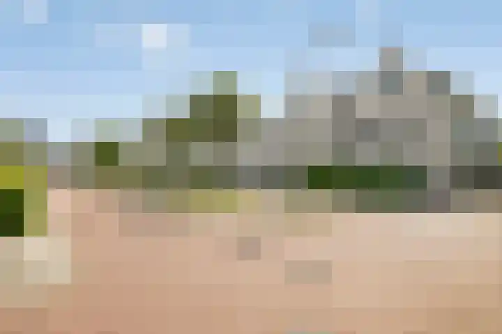 Wijkermeerhof 16 Den Haag thumbnail 6