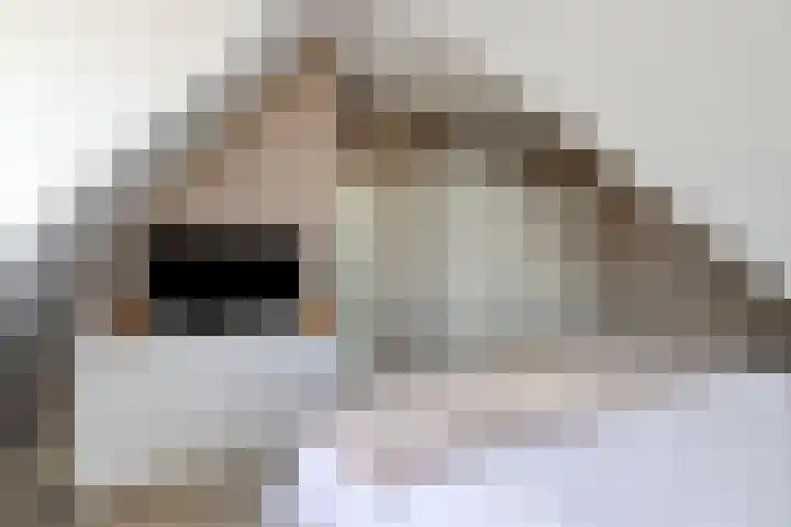 Wijkermeerhof 16 Den Haag thumbnail 61