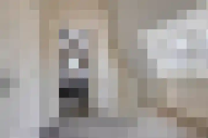 Wijkermeerhof 16 Den Haag thumbnail 63