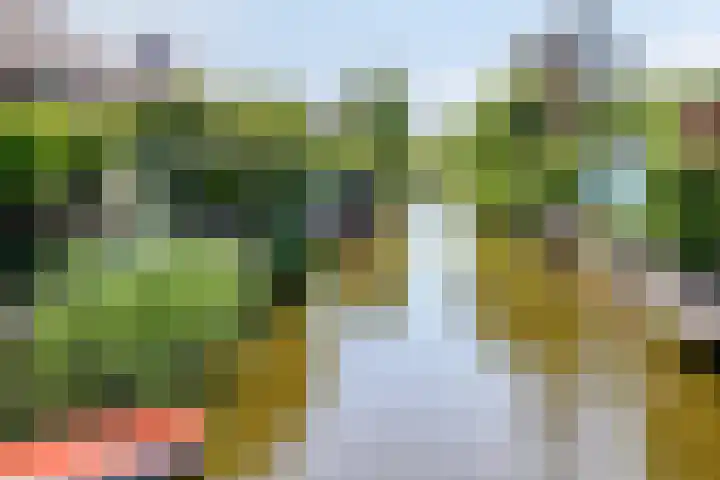 Wijkermeerhof 16 Den Haag thumbnail 88