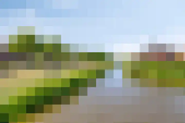 Wijkermeerhof 16 Den Haag thumbnail 89