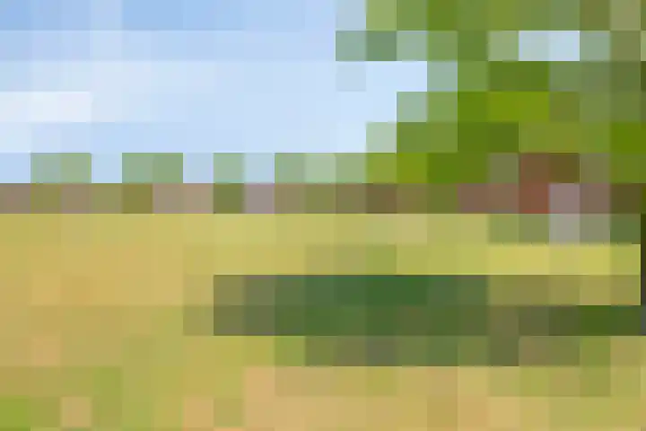 Wijkermeerhof 16 Den Haag thumbnail 90