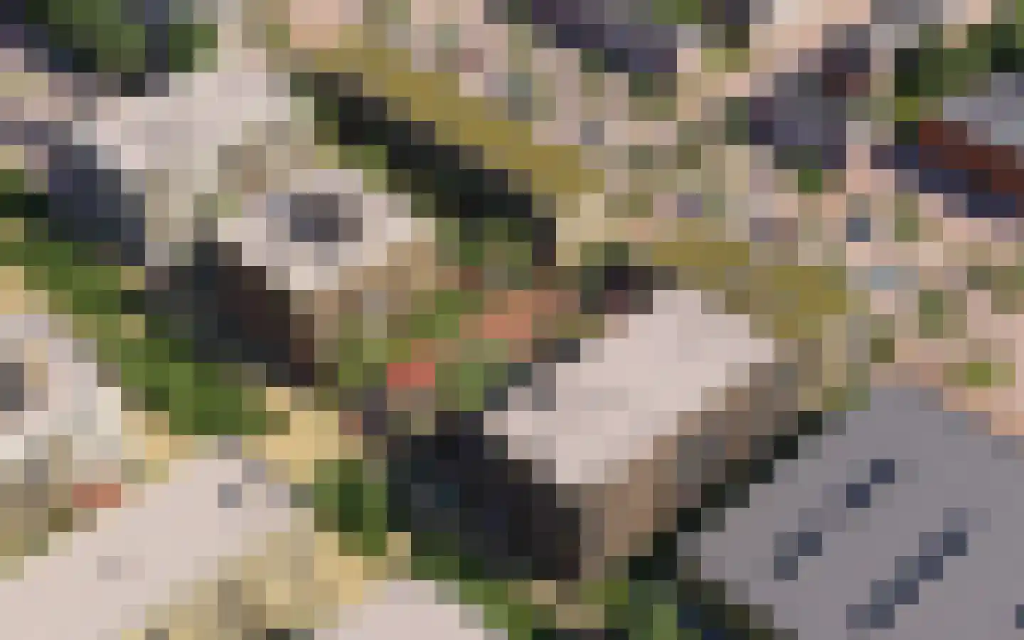 Wijkermeerstraat 19 D Hoofddorp thumbnail 8