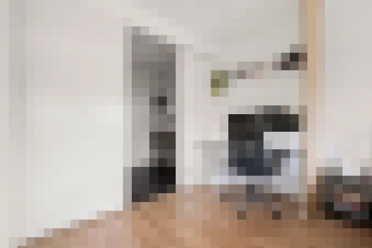 Wijkermeerstraat 37 D Hoofddorp thumbnail 19
