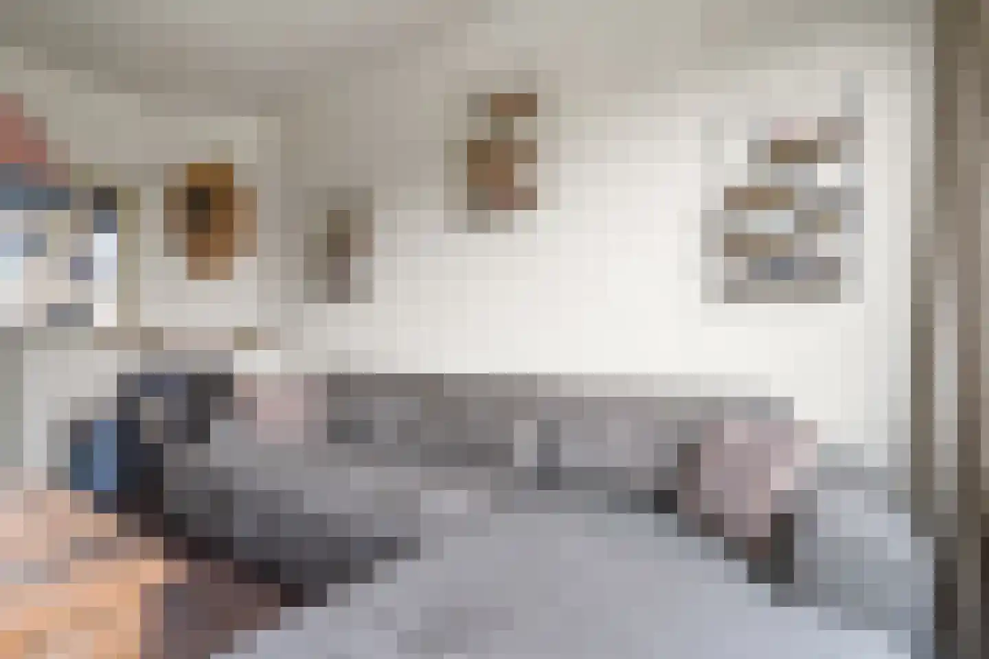 Wijkeroogstraat 112 Velsen-Noord thumbnail 8