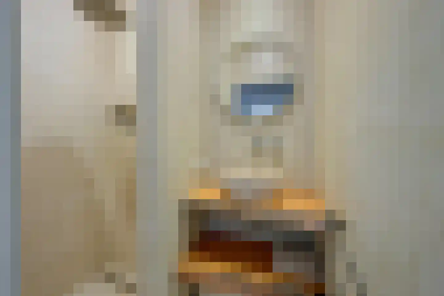 Wijkeroogstraat 12 Velsen-Noord thumbnail 22