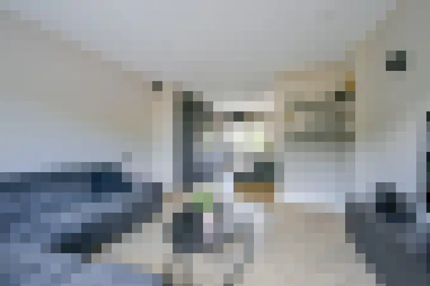 Wijkeroogstraat 12 Velsen-Noord thumbnail 7