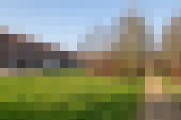 Wijkeroogstraat 84 Velsen-Noord thumbnail 22