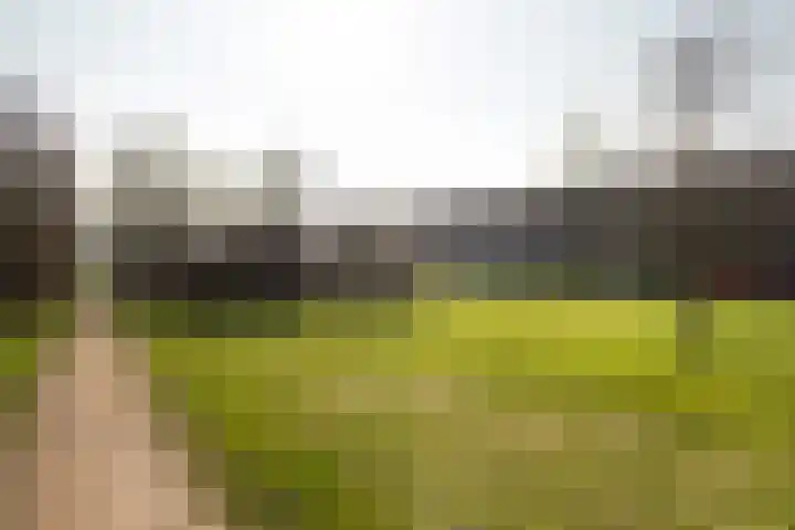 Wijkeroogstraat 84 Velsen-Noord thumbnail 24