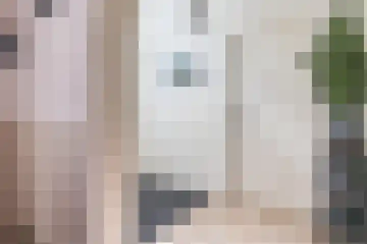 Wijkersloot 23 Wijk bij Duurstede thumbnail 24
