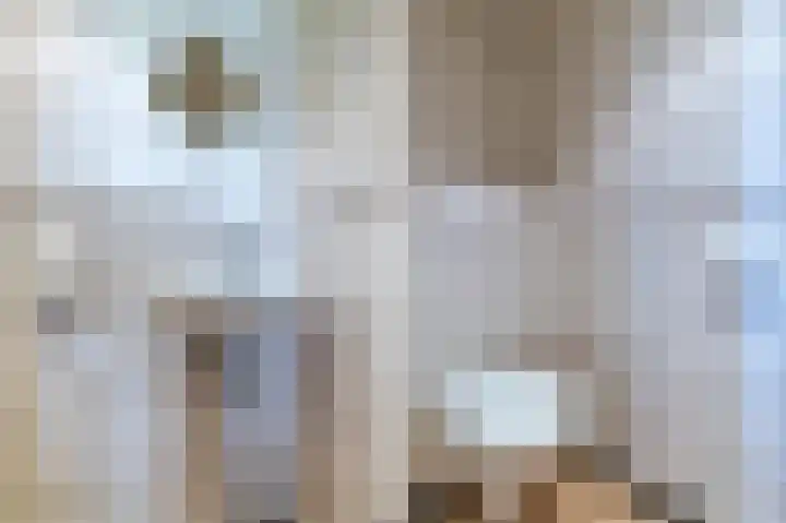Wijkersloot 23 Wijk bij Duurstede thumbnail 36
