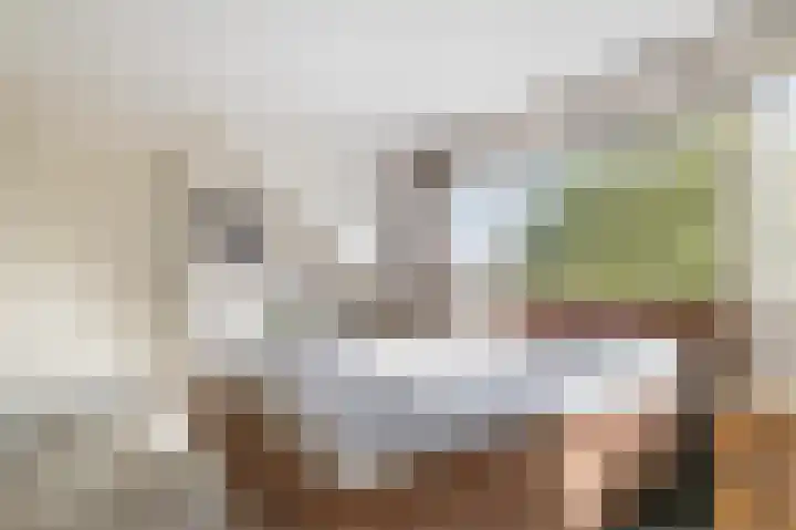 Wijkersloot 23 Wijk bij Duurstede thumbnail 37