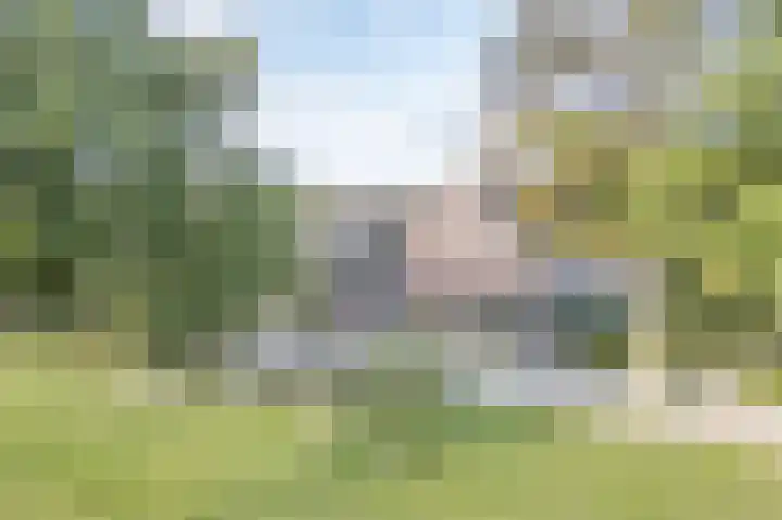 Wijkersloot 23 Wijk bij Duurstede thumbnail 4