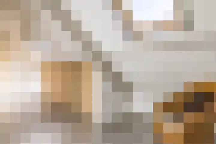Wijkersloot 23 Wijk bij Duurstede thumbnail 48